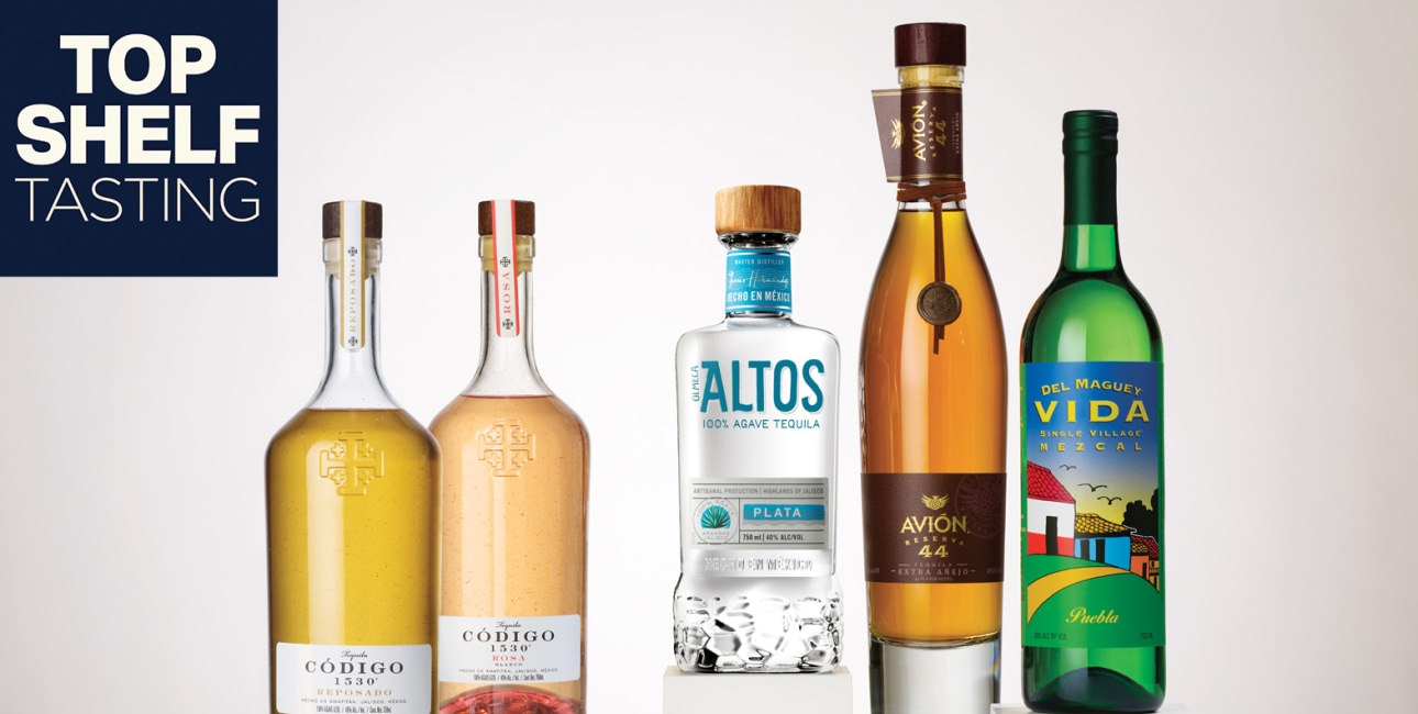 Elevate Your Spring with the Spirit of Agave