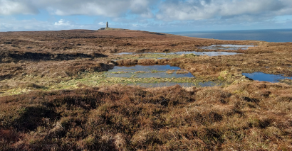 Scotch Whisky Makers Pledge Millions For Islay Peatlands Restoration