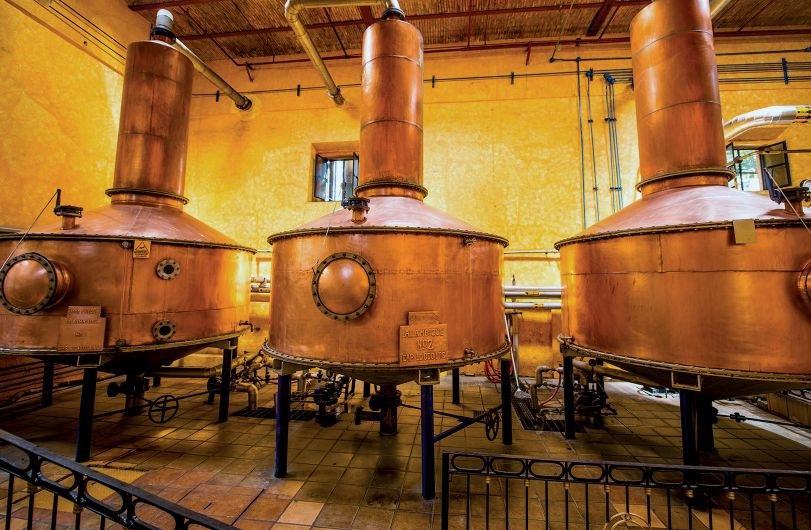 Tequila must be made from at least 51% blue Weber agave that is fermented, mashed, and distilled in one of five Mexican states, and is then bottled between 35%-55% alcohol by volume. ROBERTHARDING / ALAMY STOCK PHOTO