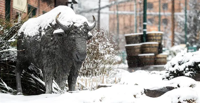 Buffalo Trace is Going “Charred & Chilled” This February