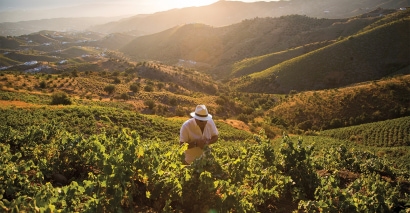 6 Wine Barrel Finishes That Take Their Whiskies to New Places