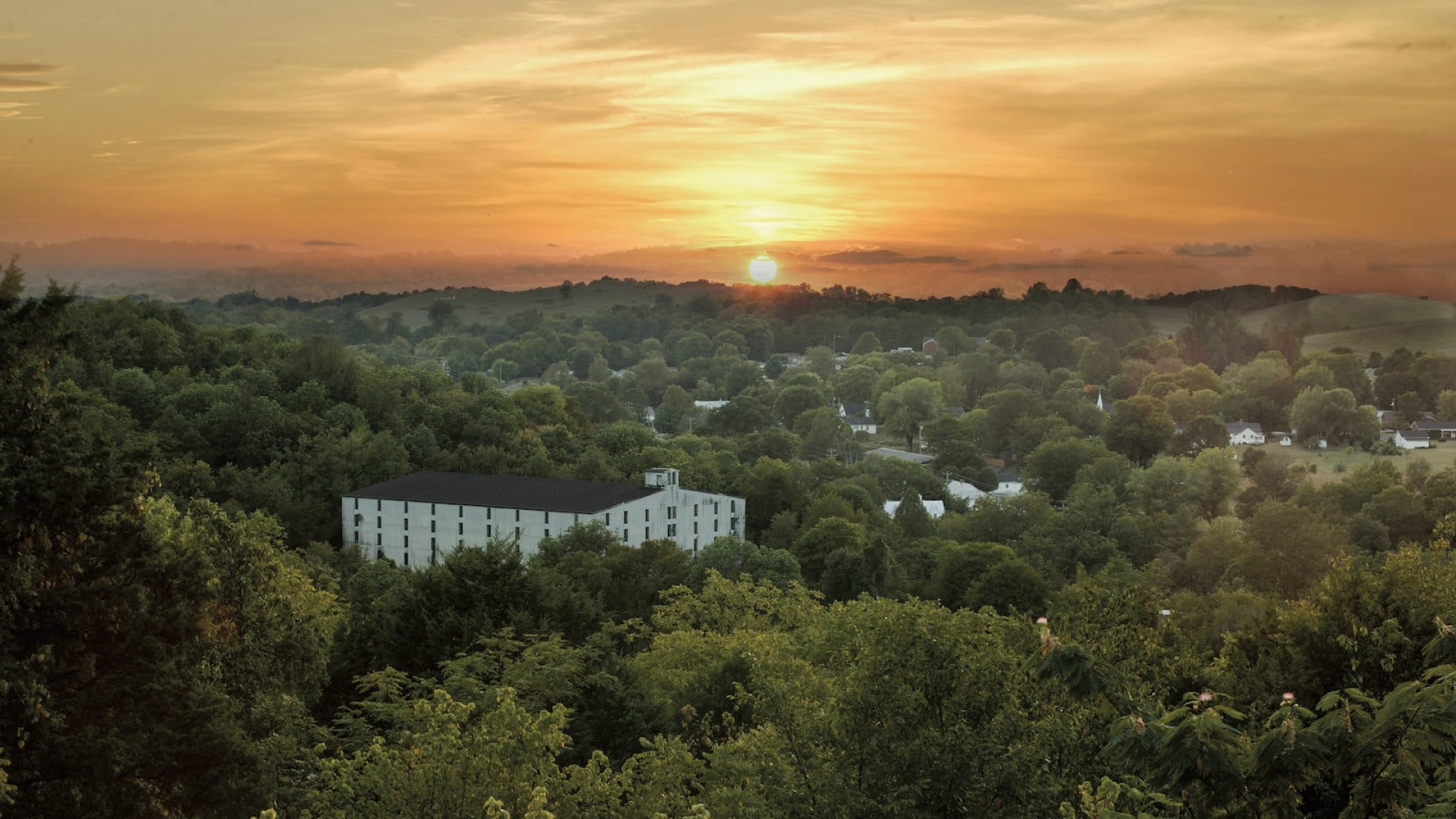 Tennessee Steps Into the Whiskey-Making Limelight